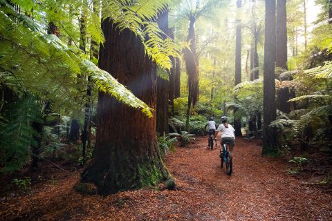 マウンテンバイクイメージ