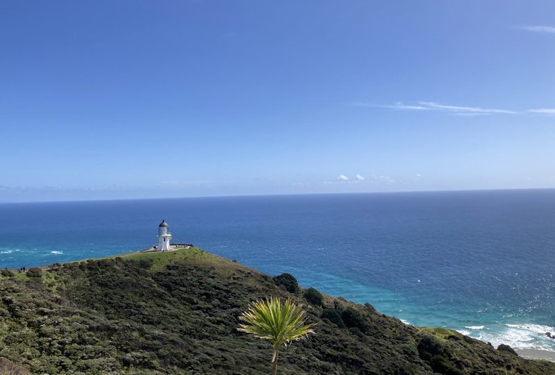 ケープレインガ